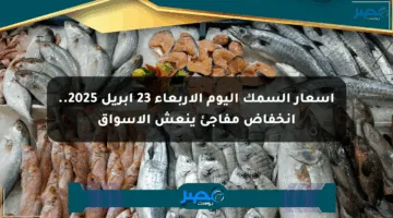 أسعار السمك اليوم الأربعاء 23 أبريل 2025.. انخفاض مفاجئ ينعش الأسواق